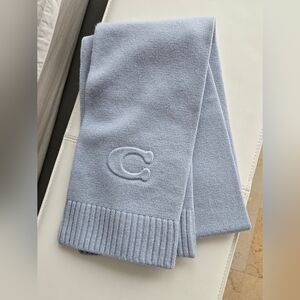 Light Blue Scarf with Embroidered Logo